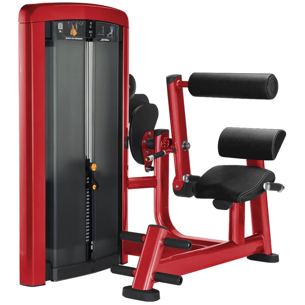 Seated Back Extension Machine