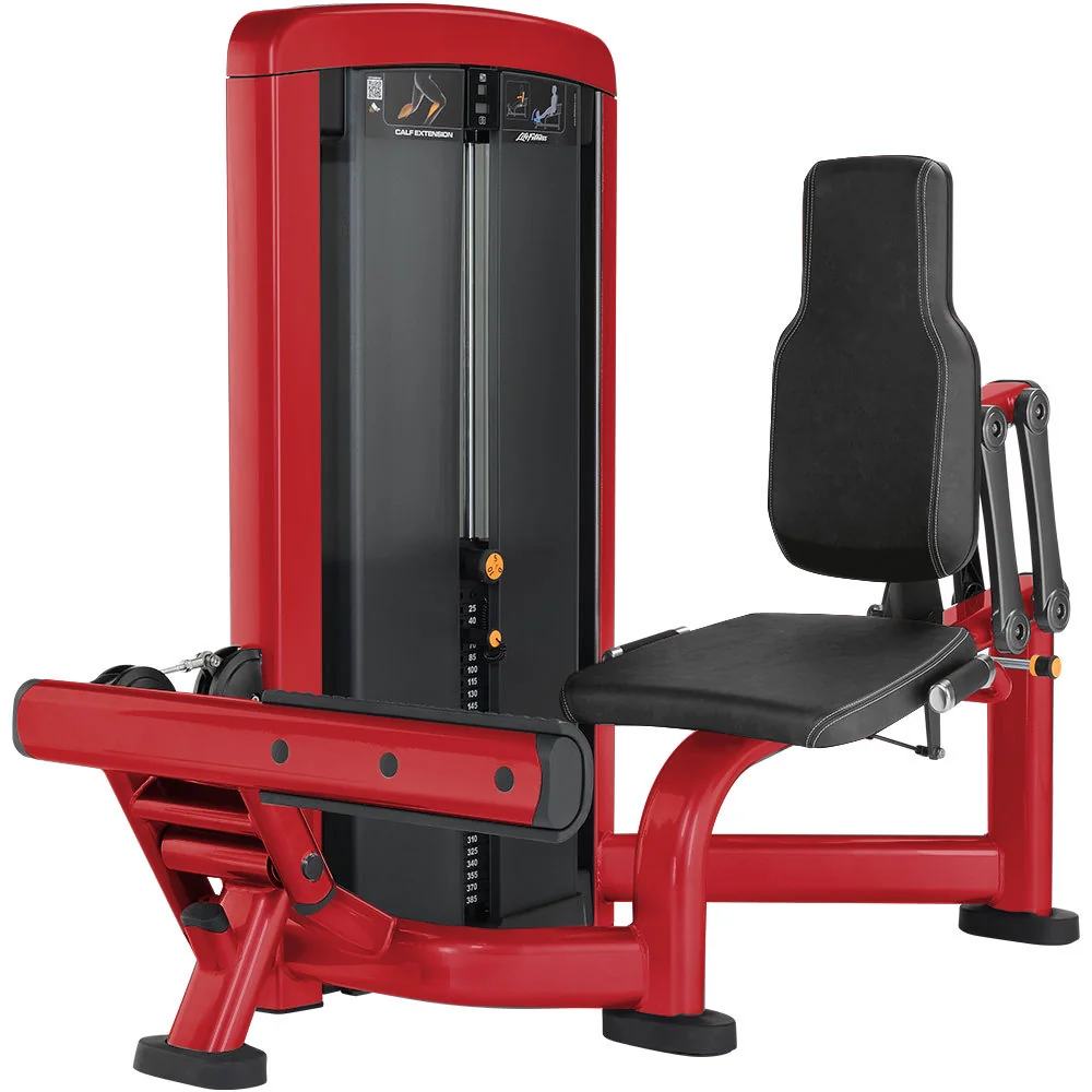 Seated Calf Raise Machine