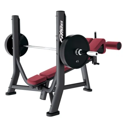 Decline Bench Press Rack