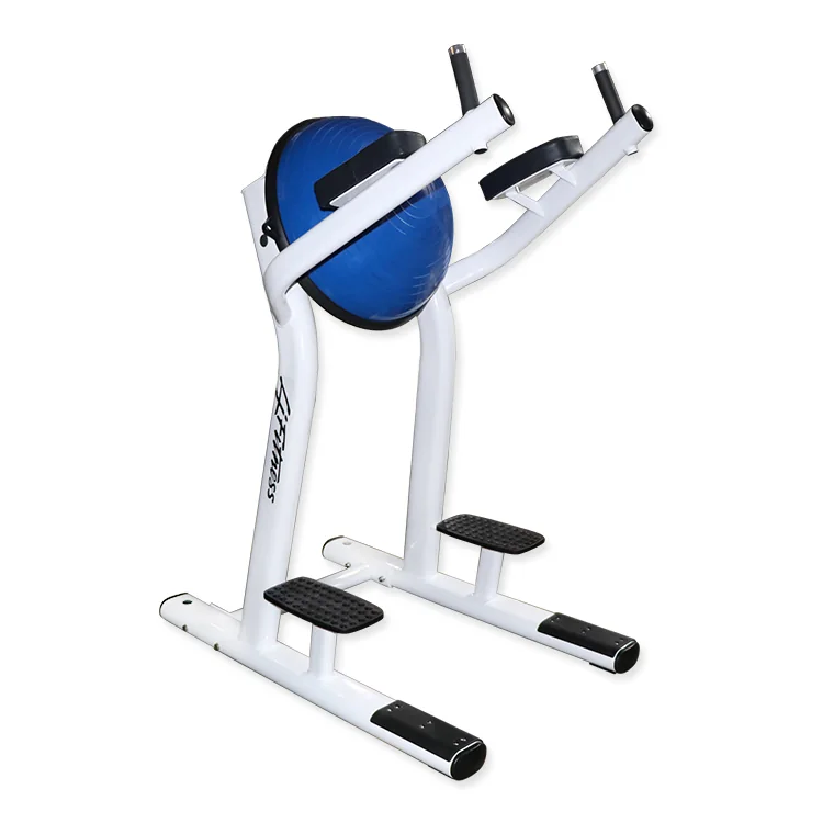 Vertical Knee Raise Station