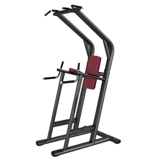 Chin-Up, Dip & Knee Raise Station