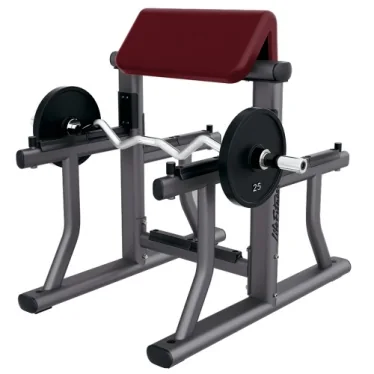 Preacher Curl Bench