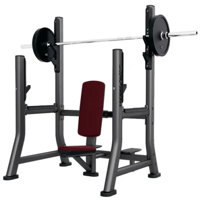 Seated Shoulder Press Bench