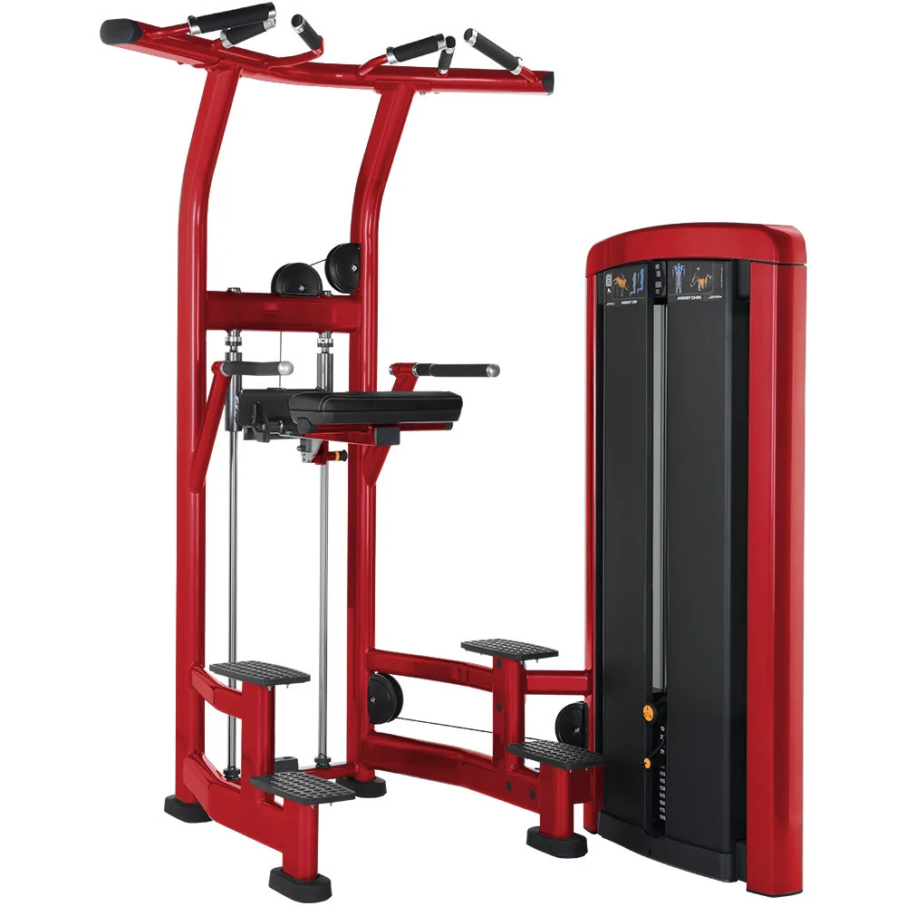 Assisted Pull-Up & Dip Machine