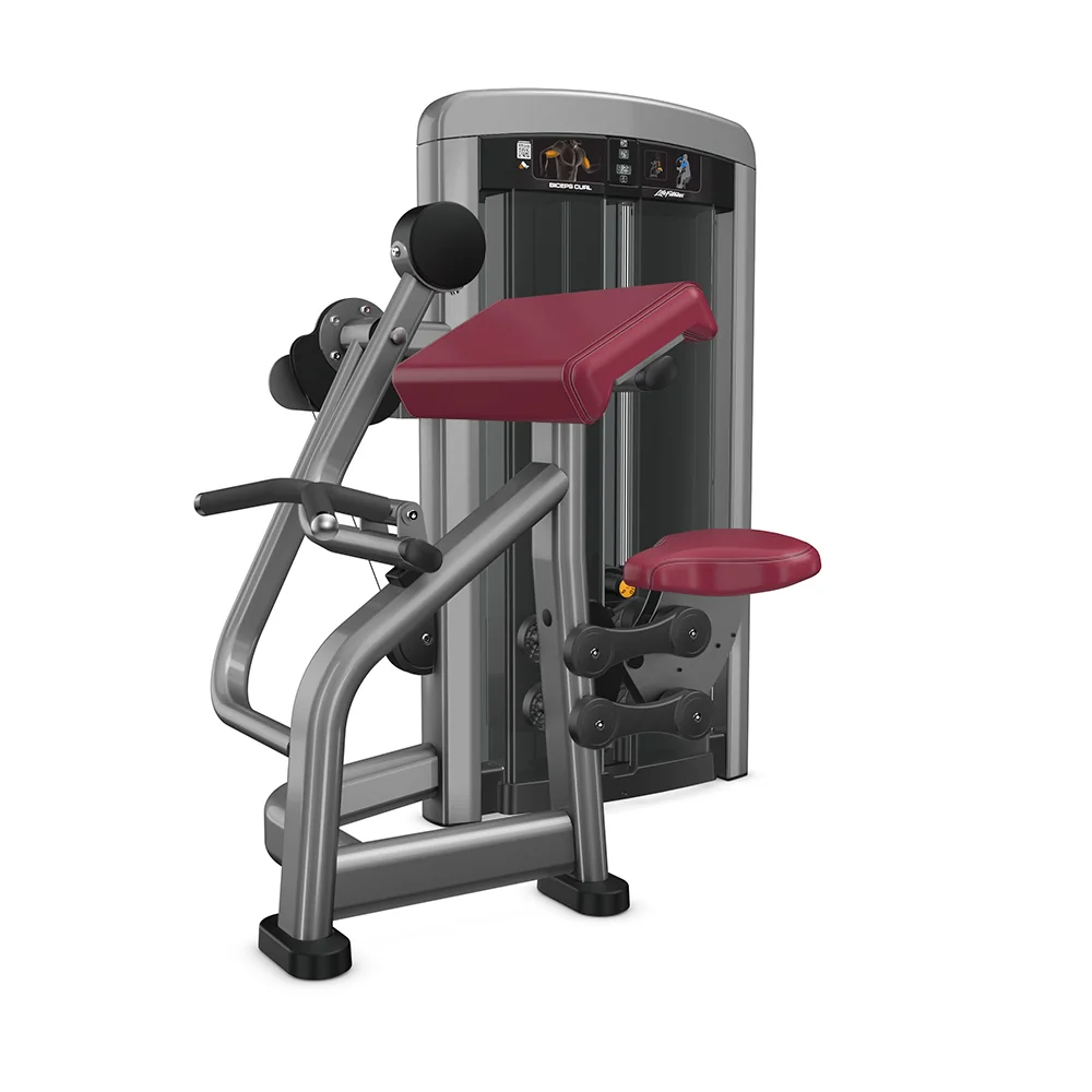 Biceps Curl Machine